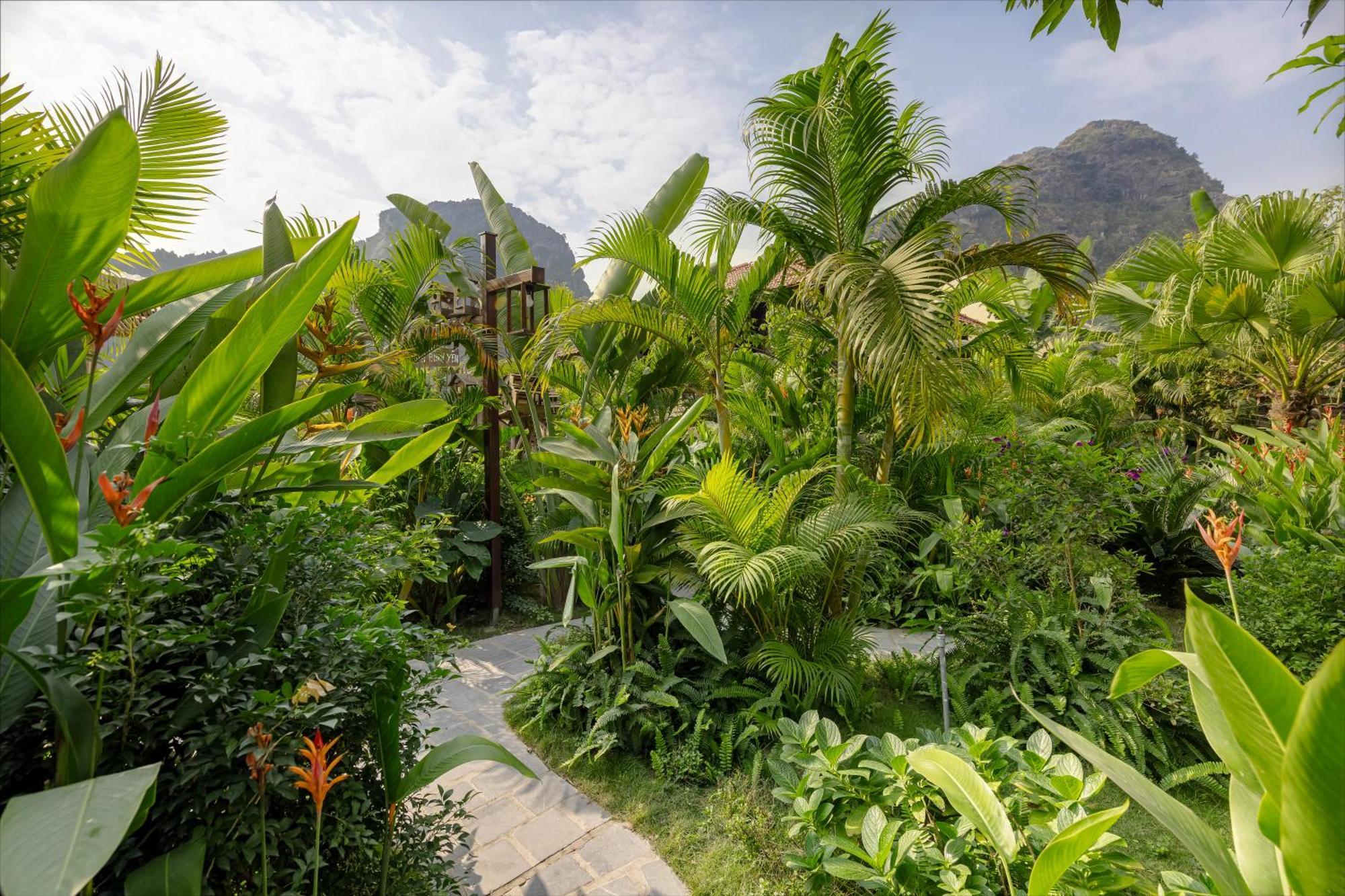 Scenic Mountain Ecolodge Ninh Bình Kültér fotó