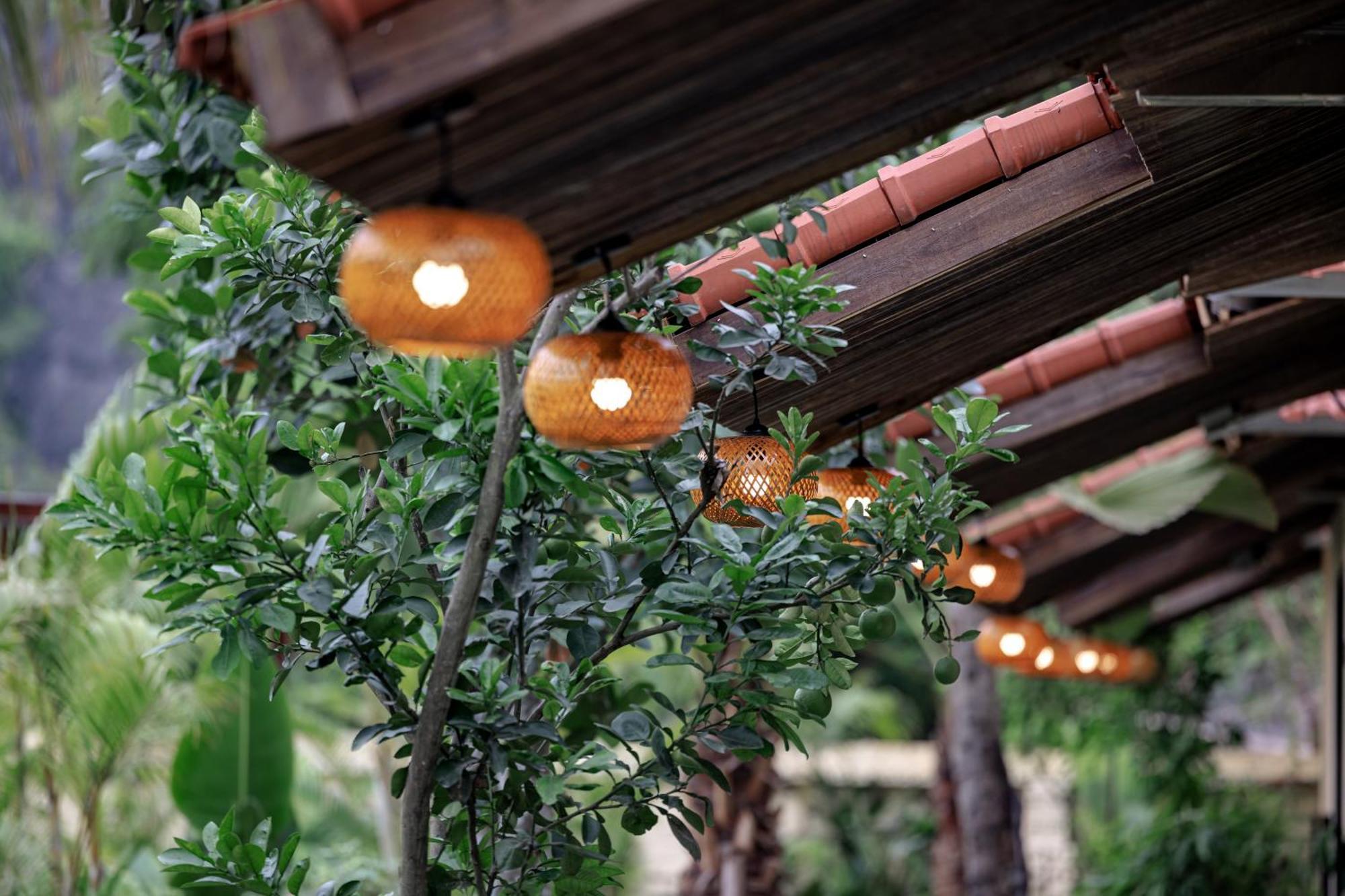 Scenic Mountain Ecolodge Ninh Bình Kültér fotó